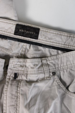 Pantaloni de bărbați Westbury, Mărime L, Culoare Gri, Preț 63,99 Lei