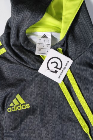 Pánská mikina  Adidas, Velikost S, Barva Šedá, Cena  659,00 Kč