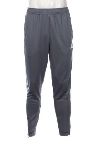 Herren Sporthose Adidas, Größe L, Farbe Grau, Preis € 42,49