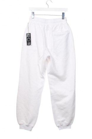 Pantaloni trening de bărbați BEACH BRAINS, Mărime S, Culoare Alb, Preț 475,99 Lei