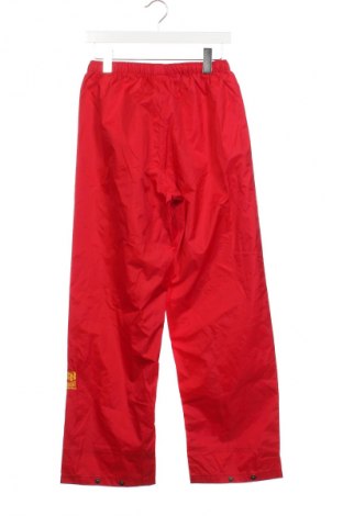 Herren Sporthose Helly Hansen, Größe S, Farbe Rot, Preis € 32,49