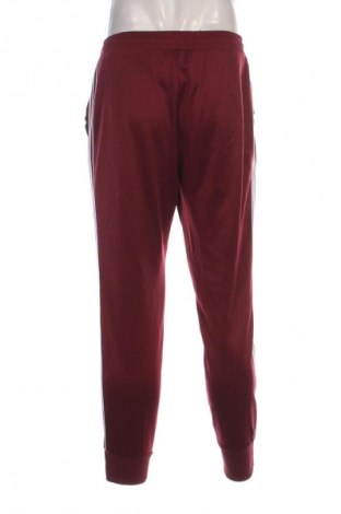 Herren Sporthose Hollister, Größe M, Farbe Rot, Preis 18,99 €