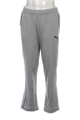 Herren Sporthose PUMA, Größe L, Farbe Grau, Preis 32,49 €