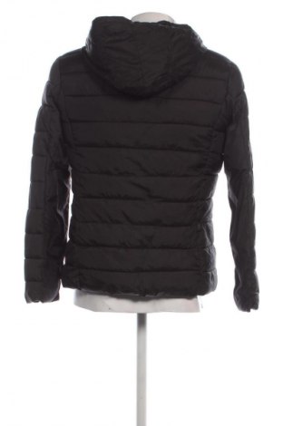 Herrenjacke Up 2 Fashion, Größe M, Farbe Schwarz, Preis 26,99 €