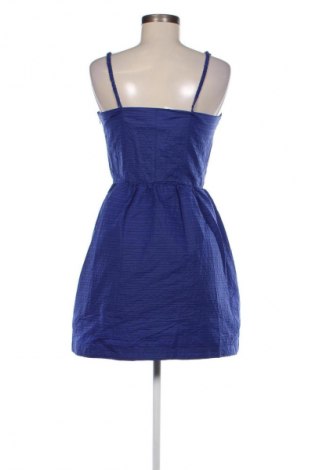 Kleid Adolfo Dominguez, Größe M, Farbe Blau, Preis € 31,99