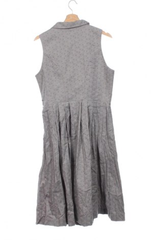 Kleid Almsach, Größe L, Farbe Grau, Preis 19,99 €