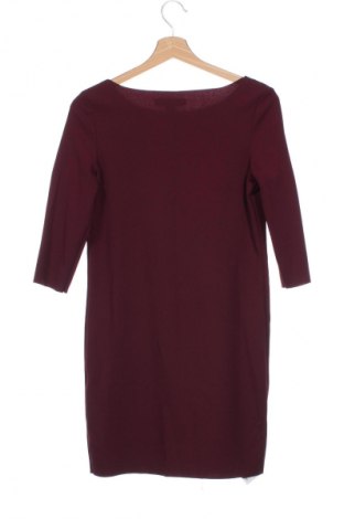 Kleid Amisu, Größe XS, Farbe Rot, Preis € 23,99