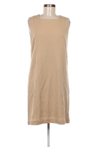 Kleid Anna Rachele, Größe XL, Farbe Beige, Preis € 90,49