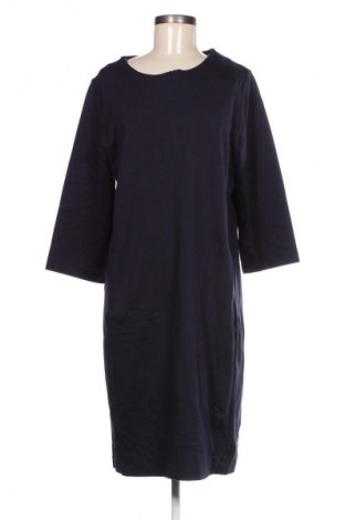 Kleid Base Level, Größe XL, Farbe Blau, Preis € 52,99