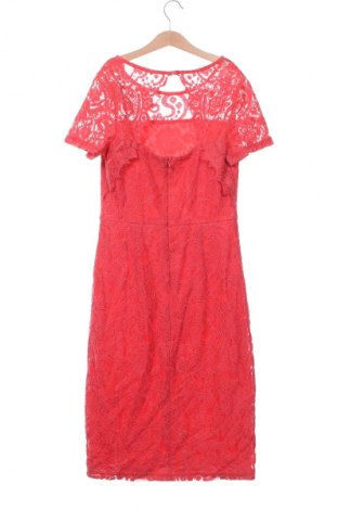 Kleid Dorothy Perkins, Größe S, Farbe Rot, Preis 4,99 €