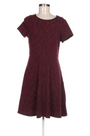 Kleid Dorothy Perkins, Größe M, Farbe Rot, Preis 9,99 €