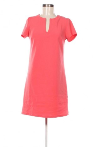 Kleid Jbc, Größe S, Farbe Rosa, Preis 12,49 €