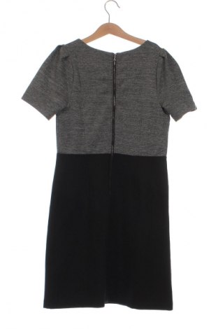 Kleid Loft By Ann Taylor, Größe XS, Farbe Mehrfarbig, Preis € 13,34