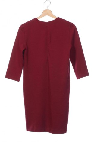 Kleid Mango, Größe XS, Farbe Rot, Preis € 17,39