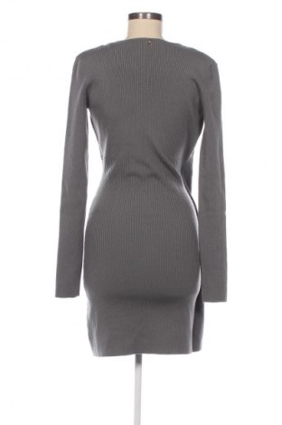 Kleid Patrizia Pepe, Größe S, Farbe Grau, Preis 284,27 €