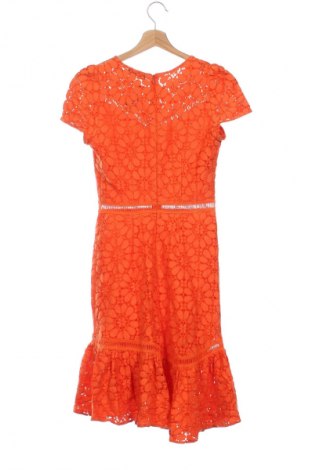 Kleid Sinequanone, Größe XS, Farbe Orange, Preis € 41,94