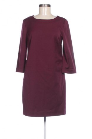 Kleid Sisley, Größe M, Farbe Lila, Preis 29,99 €