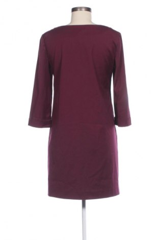 Kleid Sisley, Größe M, Farbe Lila, Preis 29,99 €