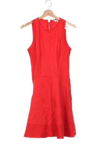 Kleid Ted Baker, Größe XS, Farbe Rot, Preis € 121,99