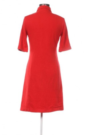 Kleid United Colors Of Benetton, Größe M, Farbe Rot, Preis 16,49 €