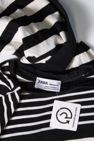 Φόρεμα Zara Trafaluc, Μέγεθος M, Χρώμα Πολύχρωμο, Τιμή 15,49 €