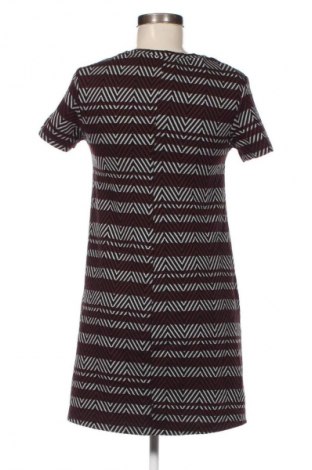 Kleid Zara Trafaluc, Größe M, Farbe Mehrfarbig, Preis 23,99 €