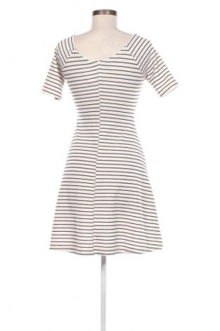 Kleid Zara Trafaluc, Größe S, Farbe Mehrfarbig, Preis 12,49 €