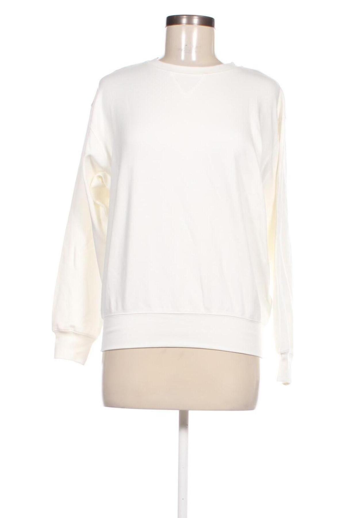 Damen Shirt Adriano Goldschmied, Größe XS, Farbe Weiß, Preis € 66,99