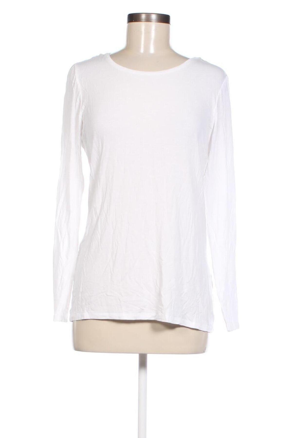 Damen Shirt Betty & Co, Größe M, Farbe Weiß, Preis € 33,99