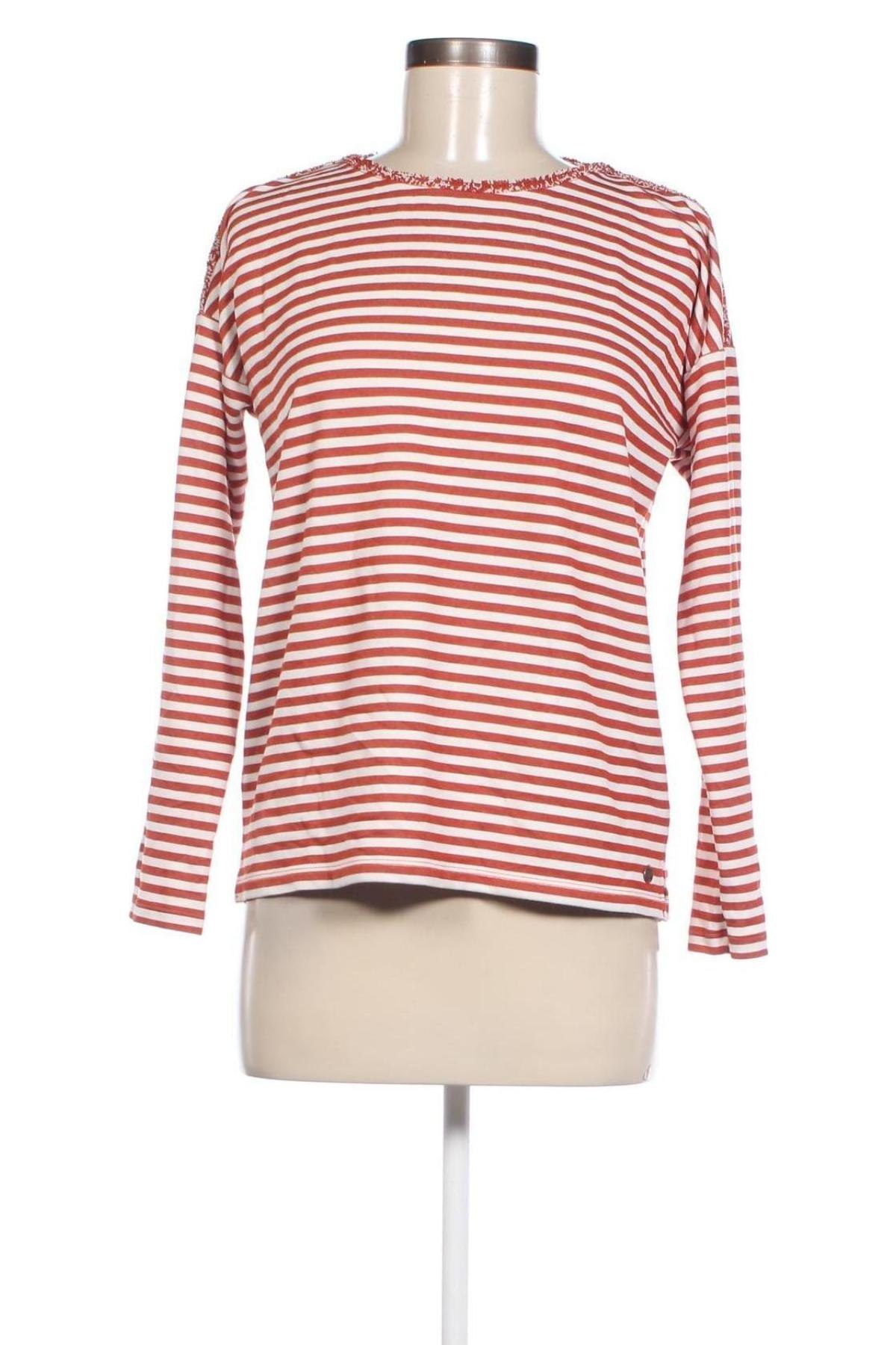 Damen Shirt Garcia, Größe M, Farbe Mehrfarbig, Preis € 7,49