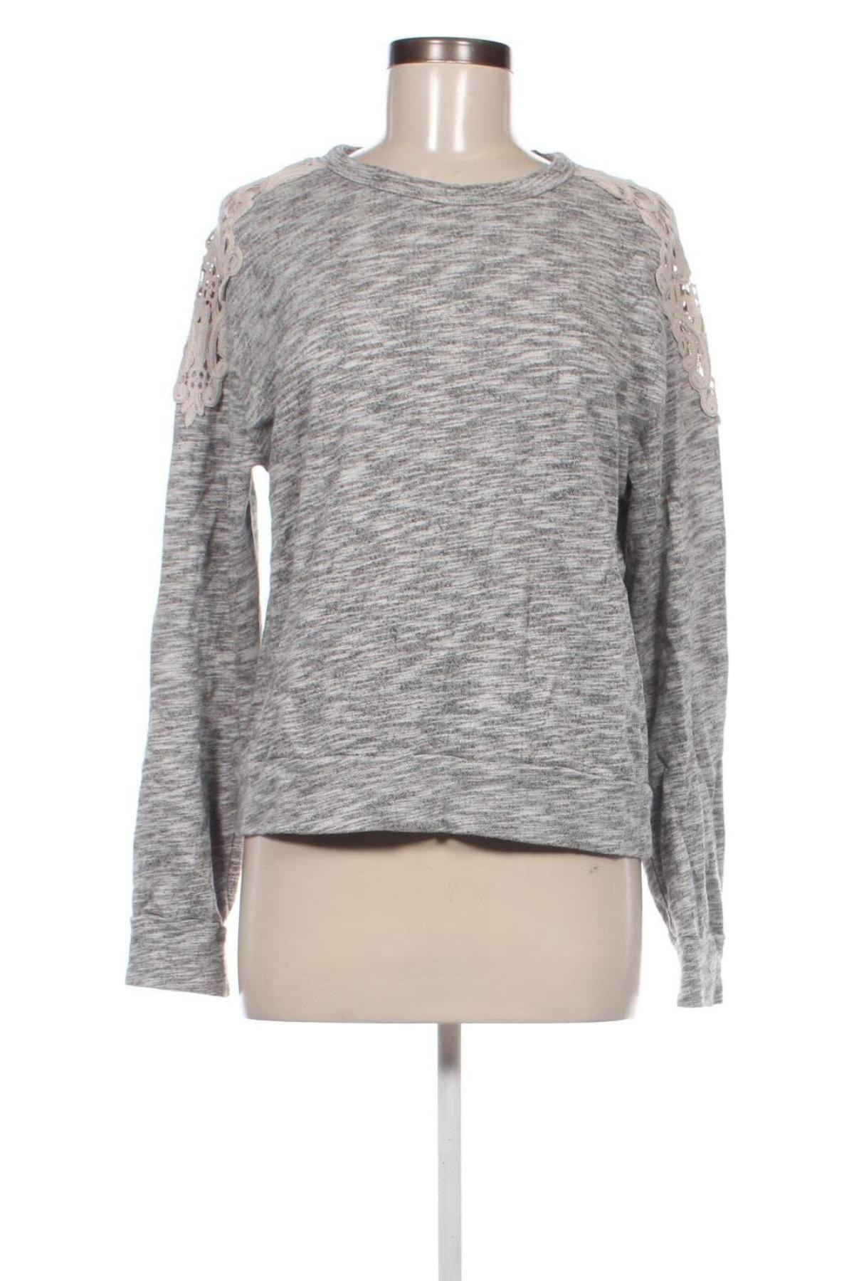 Damen Shirt Hollister, Größe M, Farbe Grau, Preis 9,99 €