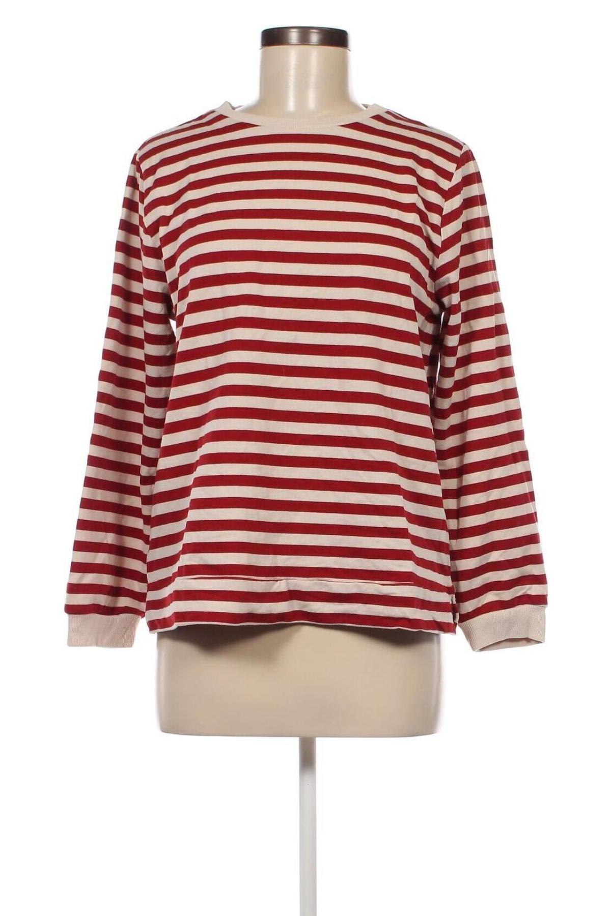 Damen Shirt LC Waikiki, Größe M, Farbe Mehrfarbig, Preis € 5,99