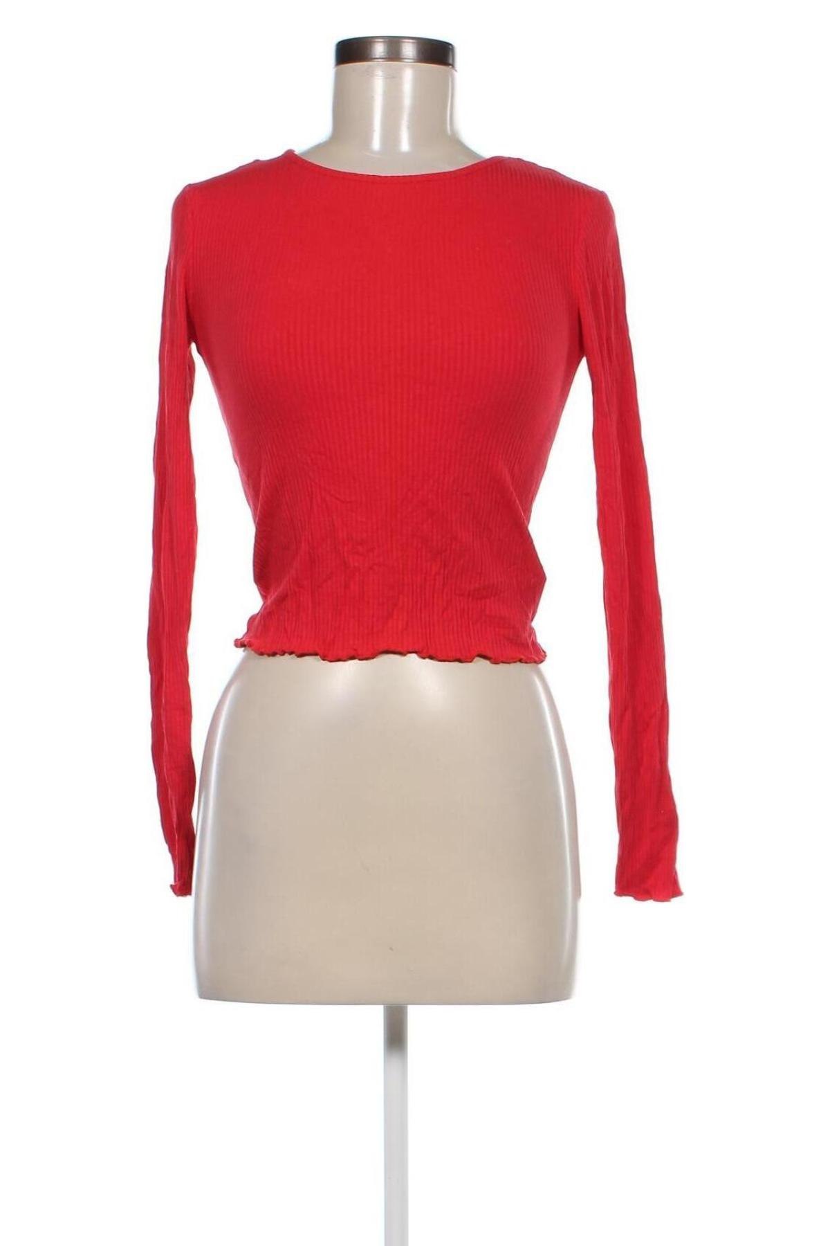 Damen Shirt Miss Selfridge, Größe XS, Farbe Rot, Preis 7,99 €