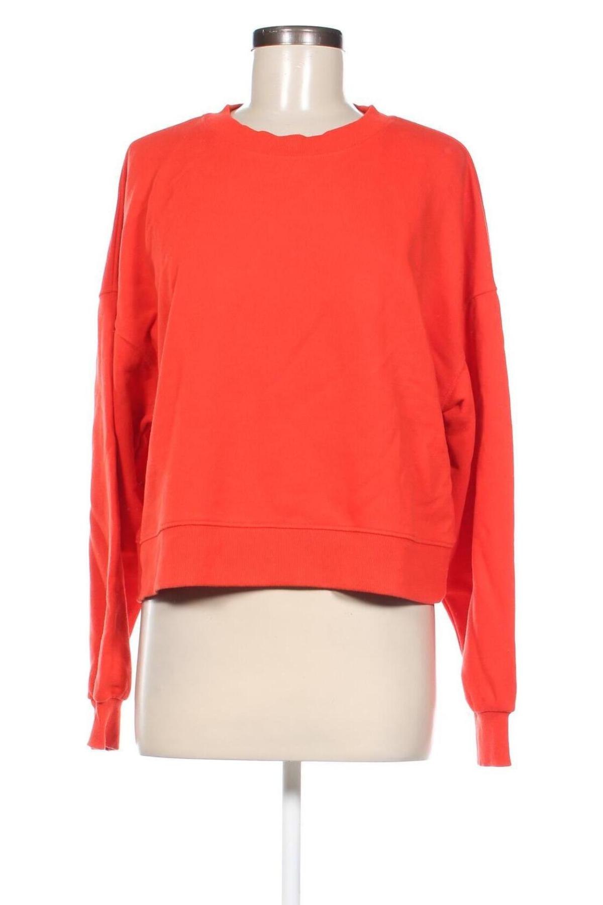 Damen Shirt Pull&Bear, Größe L, Farbe Rot, Preis € 13,49