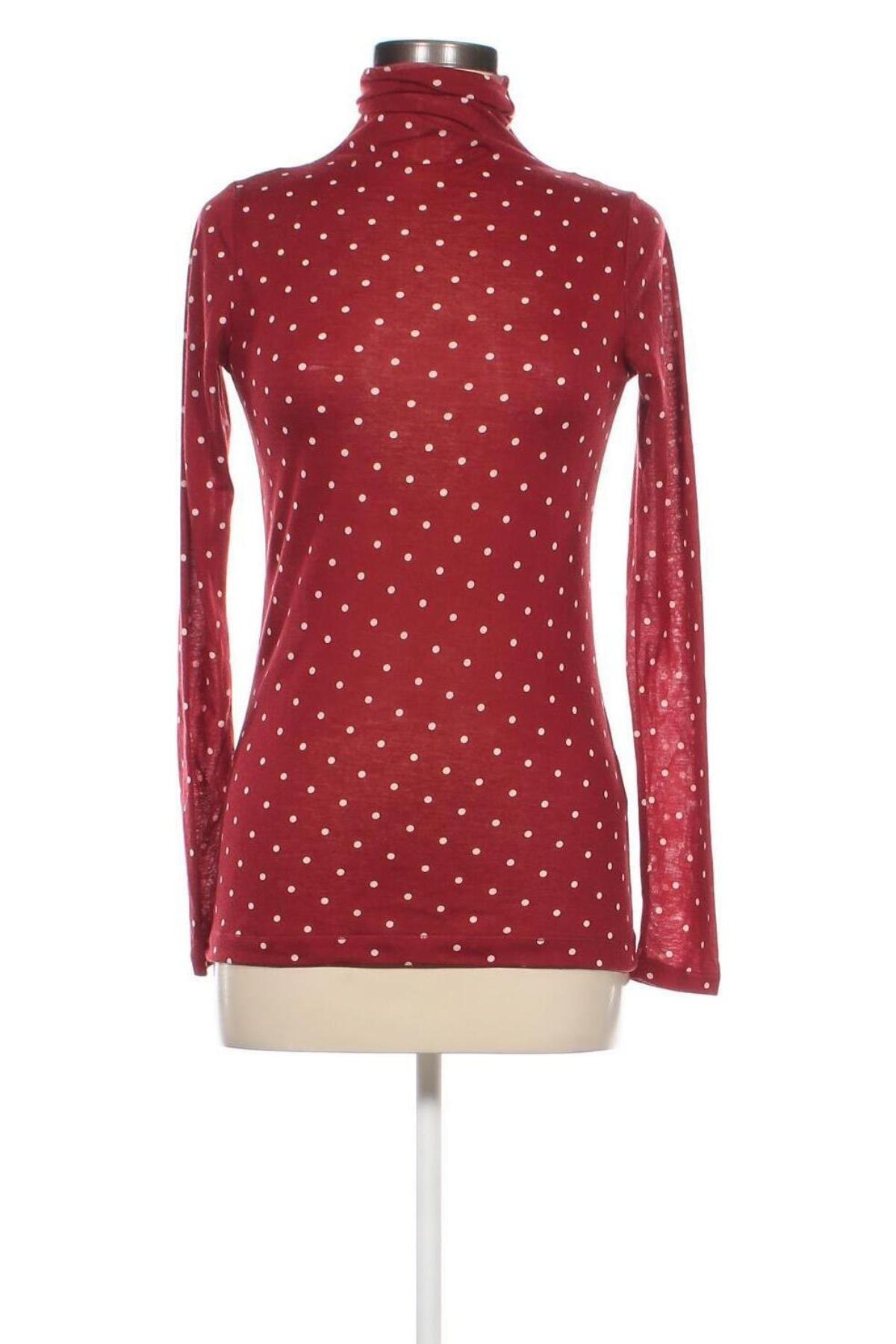 Damen Shirt Semicouture, Größe M, Farbe Mehrfarbig, Preis € 67,99