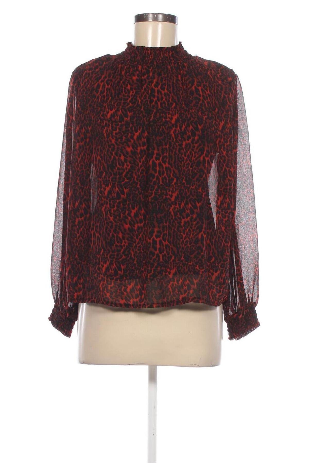 Damen Shirt Terra di Siena, Größe L, Farbe Mehrfarbig, Preis 10,99 €