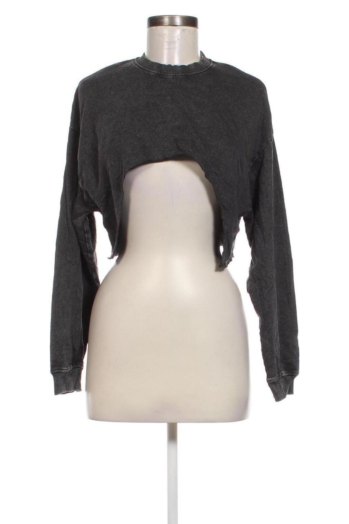 Damen Shirt Terranova, Größe S, Farbe Grau, Preis € 4,49