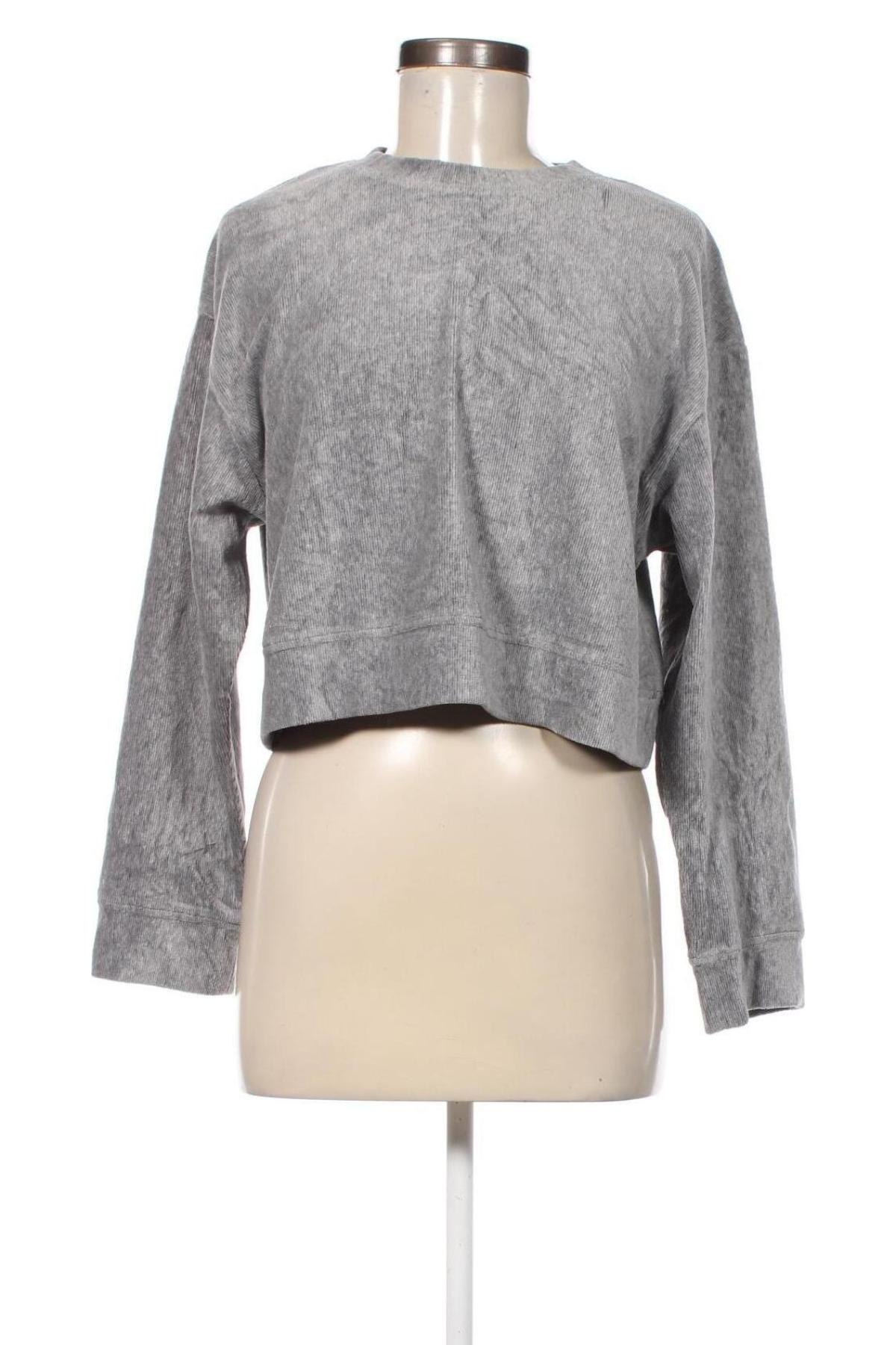 Damen Shirt Zara, Größe S, Farbe Grau, Preis 5,99 €