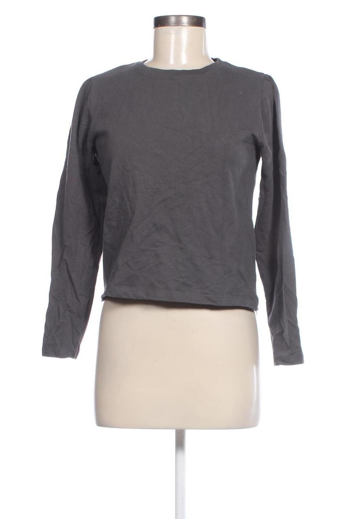 Damen Shirt Zeeman, Größe S, Farbe Grau, Preis € 4,99