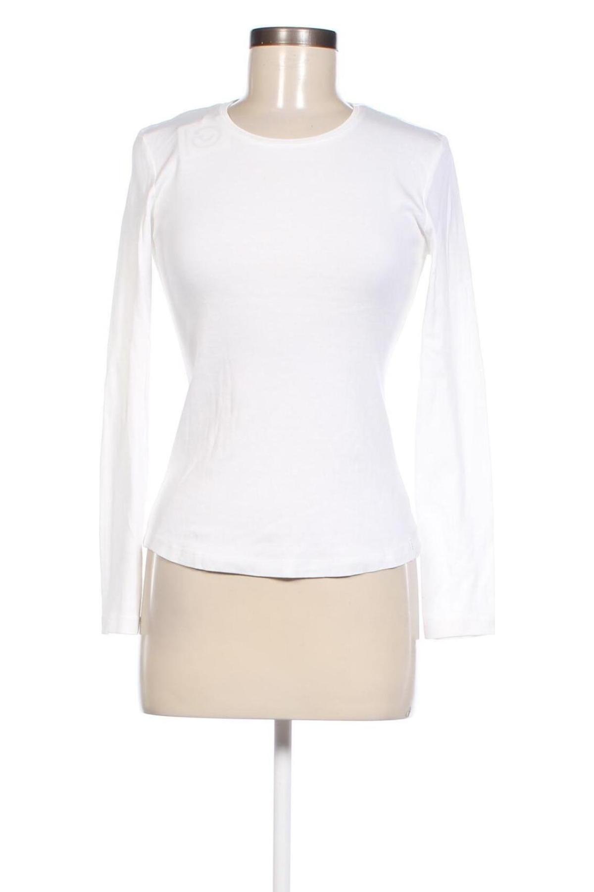 Damen Shirt Zero, Größe M, Farbe Ecru, Preis € 7,49