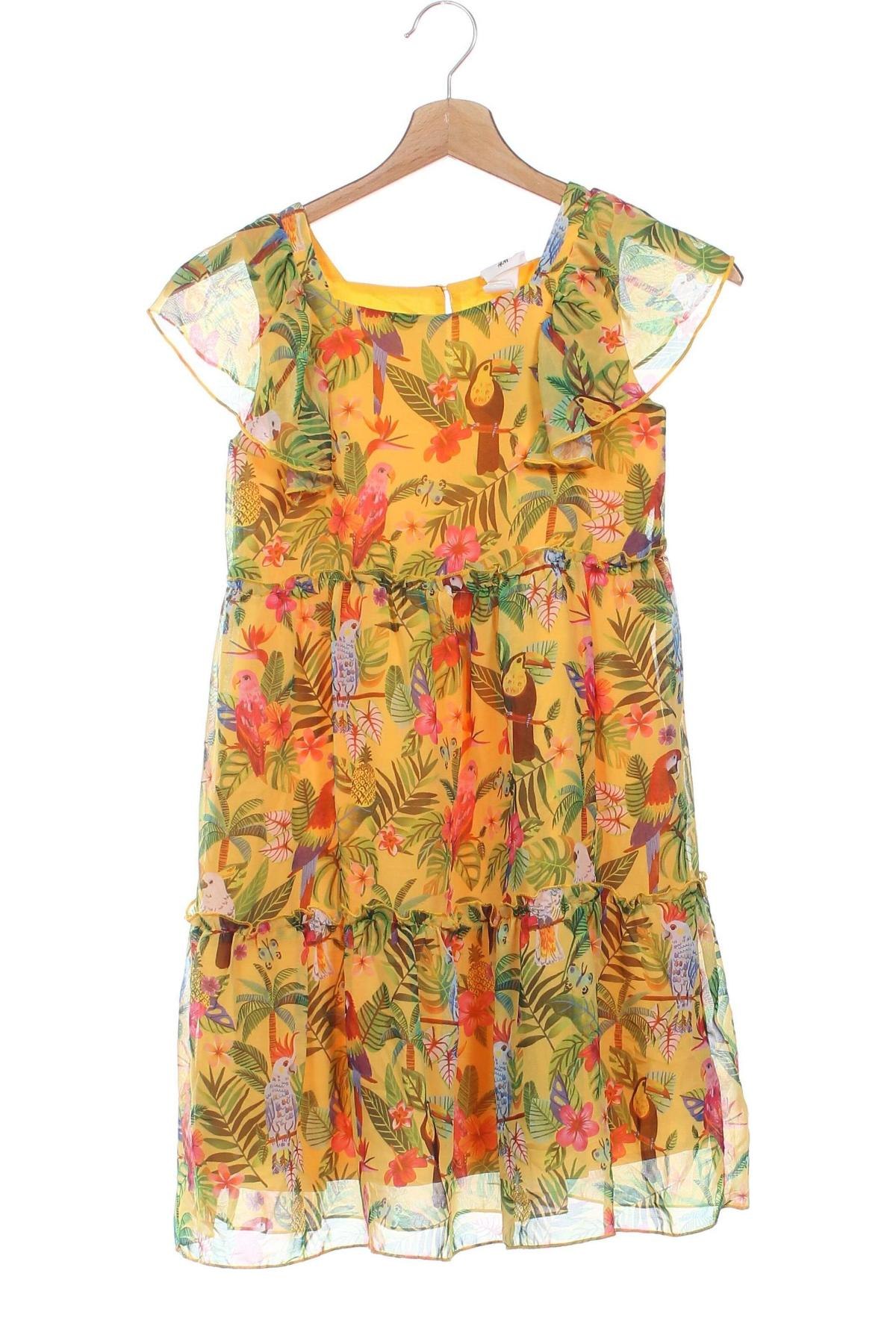 Rochie pentru copii H&M, Mărime 7-8y/ 128-134 cm, Culoare Multicolor, Preț 51,99 Lei