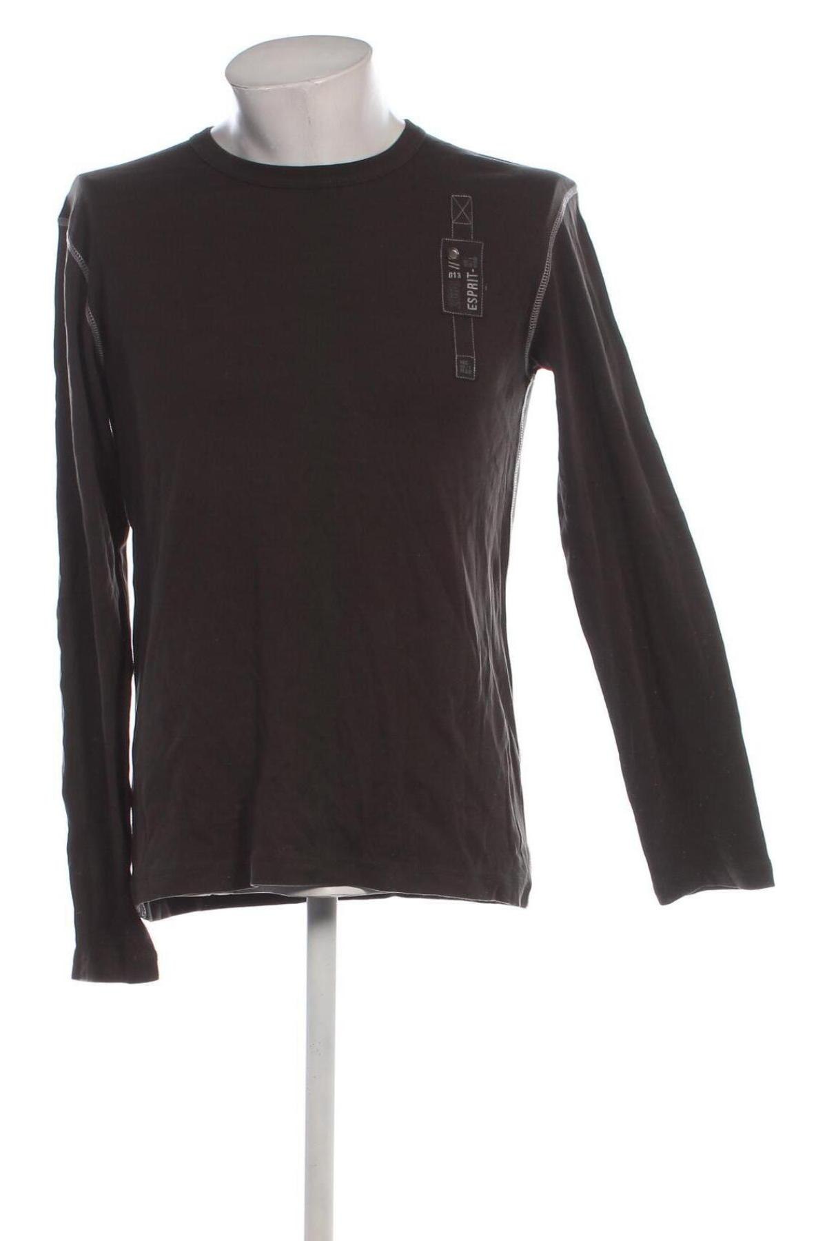 Herren Shirt Esprit, Größe XL, Farbe Braun, Preis € 18,99