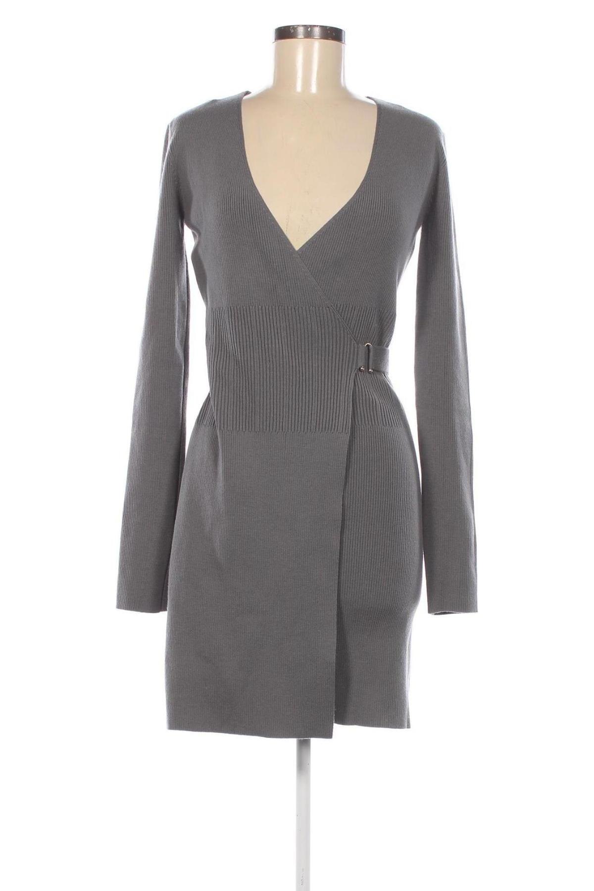 Kleid Patrizia Pepe, Größe S, Farbe Grau, Preis 284,27 €