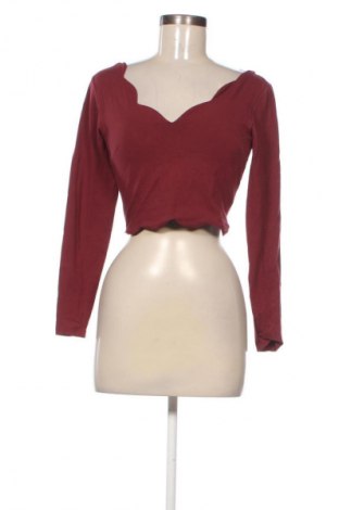 Damen Shirt About You, Größe XS, Farbe Braun, Preis € 10,23