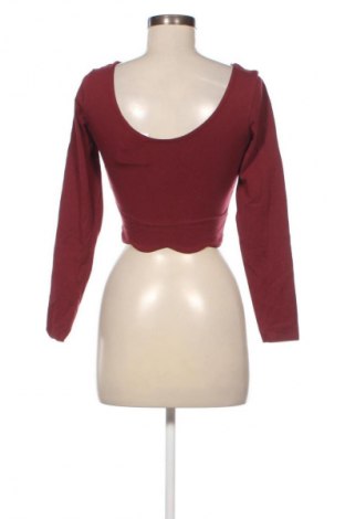 Damen Shirt About You, Größe XS, Farbe Braun, Preis € 10,23