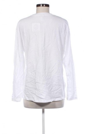 Damen Shirt Anko, Größe M, Farbe Weiß, Preis 13,99 €