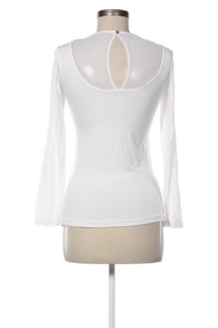 Bluzka damska Bebe, Rozmiar XS, Kolor Kolorowy, Cena 73,99 zł