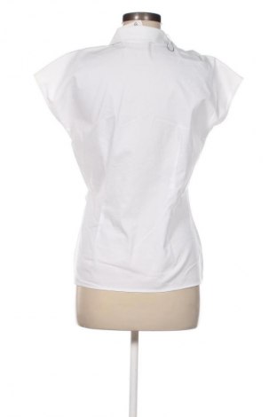 Damen Shirt Betty & Co, Größe M, Farbe Weiß, Preis 51,99 €