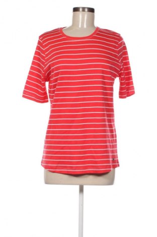 Γυναικεία μπλούζα Clarina Collection, Μέγεθος L, Χρώμα Πολύχρωμο, Τιμή 10,99 €