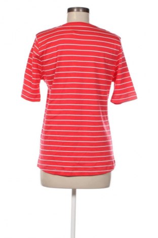 Γυναικεία μπλούζα Clarina Collection, Μέγεθος L, Χρώμα Πολύχρωμο, Τιμή 10,99 €
